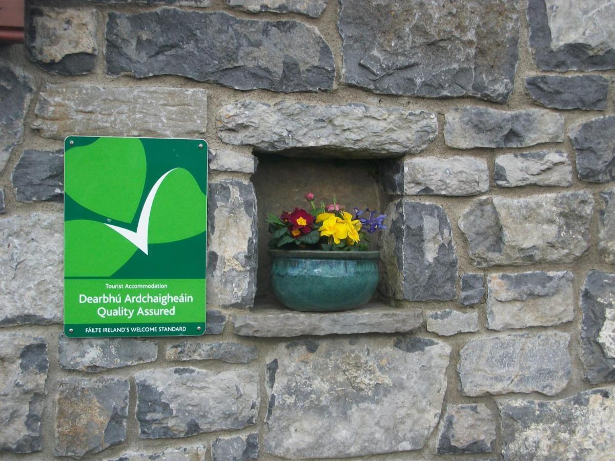 Aille River Tourist Hostel Glamping Doolin Exterior photo